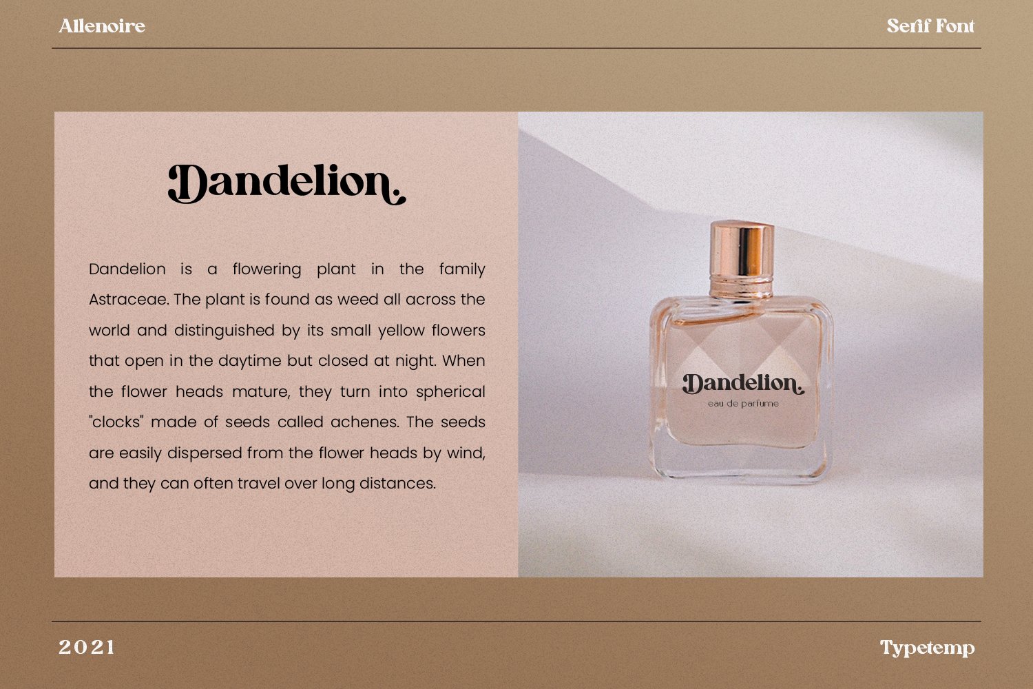 英文字体:现代时尚代复古优雅连字品牌衬线体LOGO海报排版衬线字体 Allenoire - Modern Bold Serif Font , 第10张-素材湾丨精选海外优质设计素材资源 英文字体:现代时尚代复古优雅连字品牌衬线体LOGO海报排版衬线字体 Allenoire - Modern Bold Serif Font , sucaiwan.com