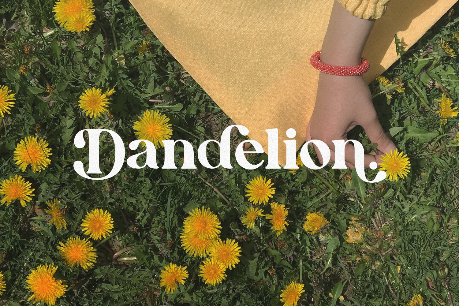 英文字体:现代时尚代复古优雅连字品牌衬线体LOGO海报排版衬线字体 Allenoire - Modern Bold Serif Font , 第12张-素材湾丨精选海外优质设计素材资源 英文字体:现代时尚代复古优雅连字品牌衬线体LOGO海报排版衬线字体 Allenoire - Modern Bold Serif Font , sucaiwan.com