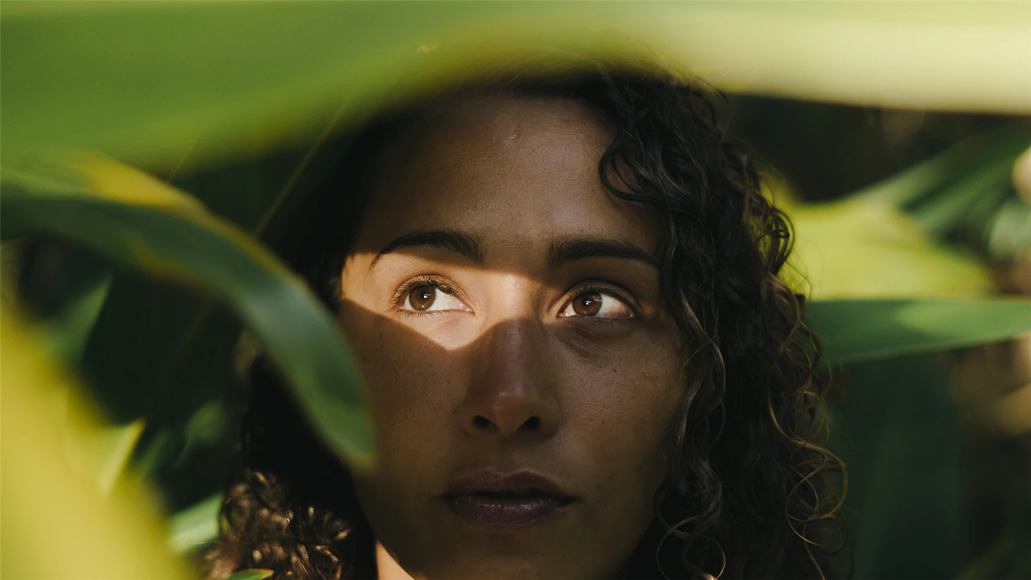 复古情绪美学人像旅拍摄影灰尘划痕胶片颗粒覆盖纹理Lightroom调色预设 Meridian: Ain-Raadik Tide Preset 插件预设 第2张-素材湾丨精选海外优质设计素材资源 复古情绪美学人像旅拍摄影灰尘划痕胶片颗粒覆盖纹理Lightroom调色预设 Meridian: Ain-Raadik Tide Preset 插件预设 sucaiwan.com