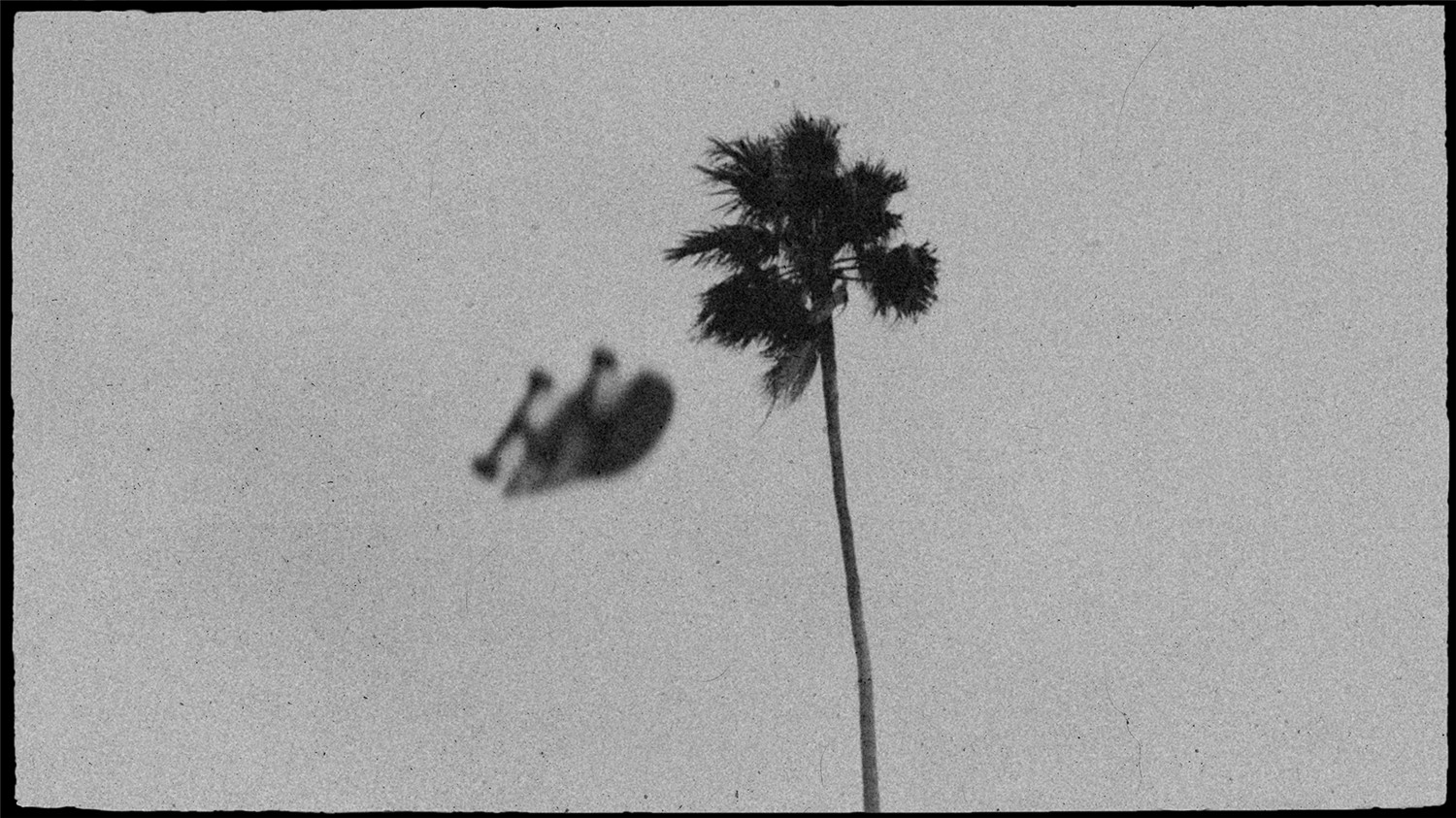 复古情绪美学人像旅拍摄影灰尘划痕胶片颗粒覆盖纹理Lightroom调色预设 Meridian: Ain-Raadik Tide Preset 插件预设 第9张-素材湾丨精选海外优质设计素材资源 复古情绪美学人像旅拍摄影灰尘划痕胶片颗粒覆盖纹理Lightroom调色预设 Meridian: Ain-Raadik Tide Preset 插件预设 sucaiwan.com