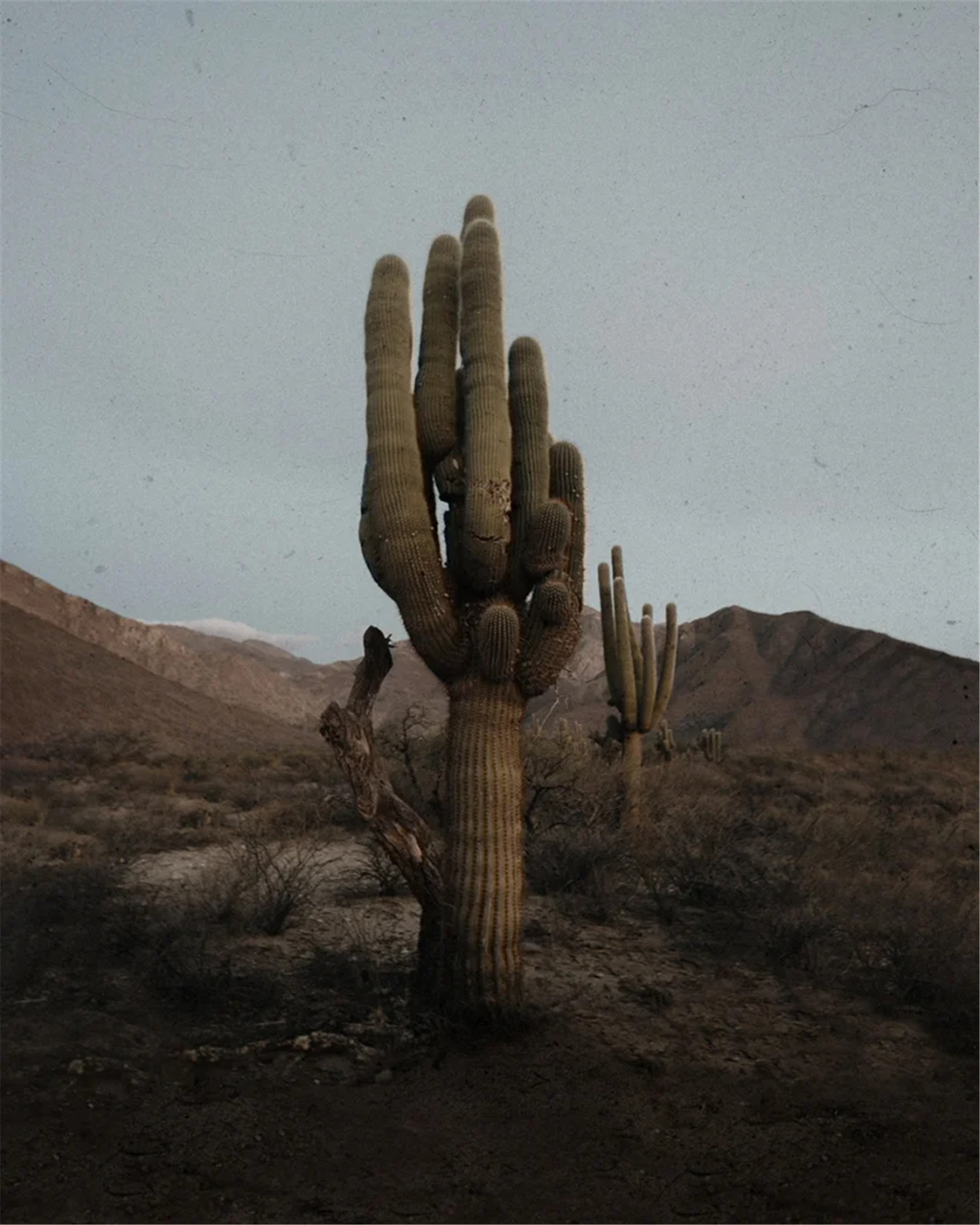 复古情绪美学人像旅拍摄影灰尘划痕胶片颗粒覆盖纹理Lightroom调色预设 Meridian: Ain-Raadik Tide Preset 插件预设 第15张-素材湾丨精选海外优质设计素材资源 复古情绪美学人像旅拍摄影灰尘划痕胶片颗粒覆盖纹理Lightroom调色预设 Meridian: Ain-Raadik Tide Preset 插件预设 sucaiwan.com