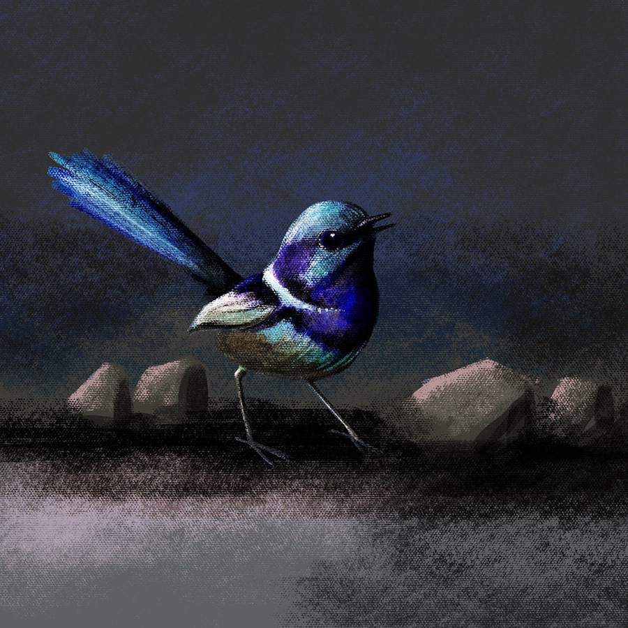 21个帆布画纹理效果Procreate笔刷 Heavy Canvas Brushes for Procreate , sucaiwan.com