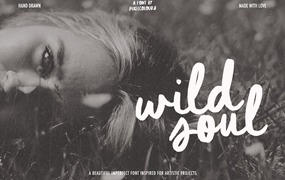 英文字体:复古涂鸦90年代街头手写海报标题logo排版西文字体 Script Brush Font Duo Wild Soul