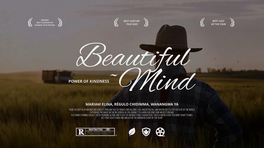 4K 达芬奇电影标题预设插件 纪录片、音乐和广告标题 Cinematic Titles for DaVinci Resolve v.2 + 视频同款BGM赠送 插件预设 sucaiwan.com