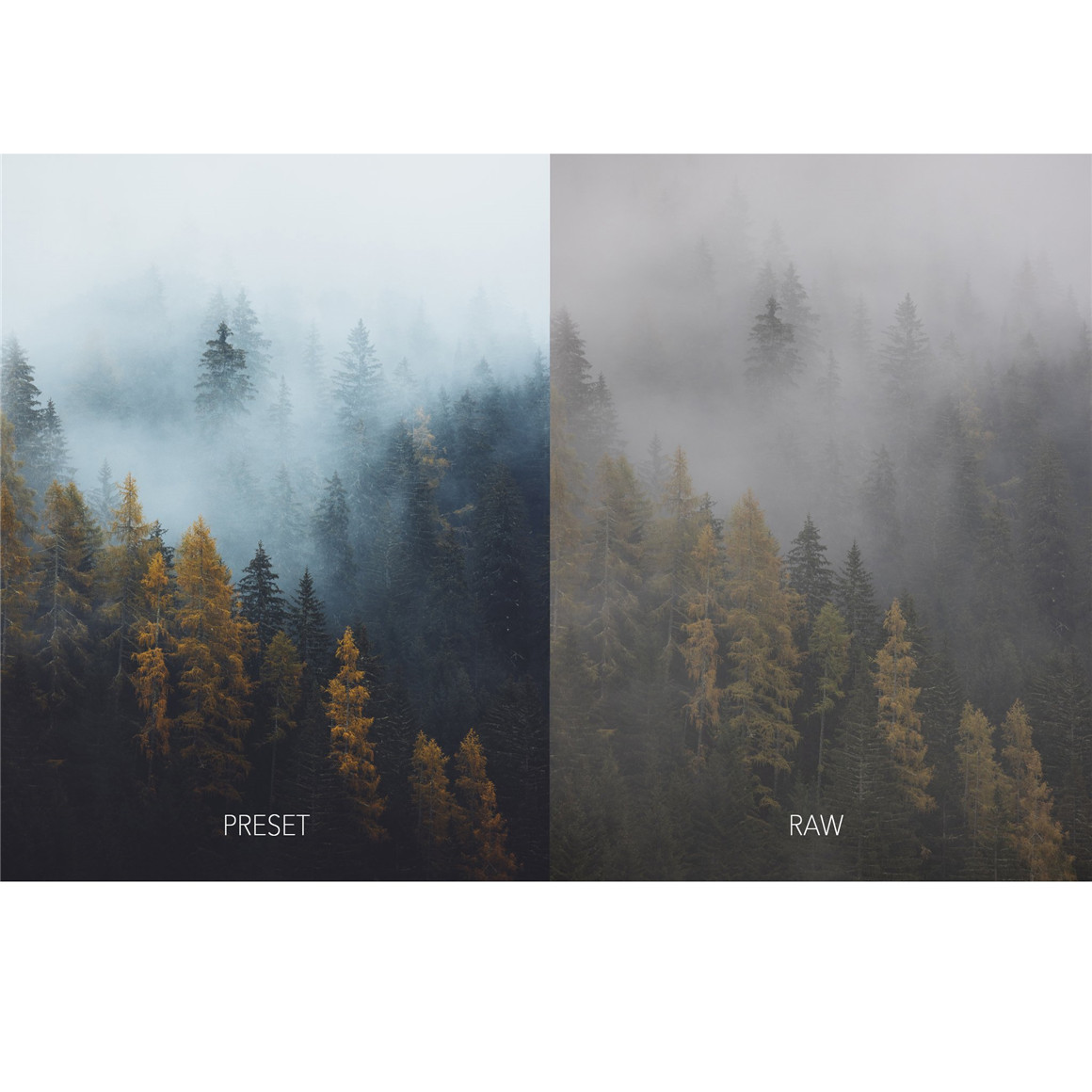 25个户外旅拍风景摄影师Lightroom调色预设 Evolumina Presets Master collection (Mobile & Desktop) 插件预设 第12张-素材湾丨精选海外优质设计素材资源 25个户外旅拍风景摄影师Lightroom调色预设 Evolumina Presets Master collection (Mobile & Desktop) 插件预设 sucaiwan.com