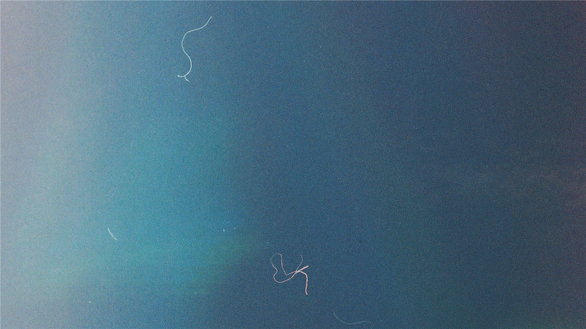 Tropic Colour 独特复古胶卷薄膜燃烧漏光刻录8/16/35mm视频素材 Tropic Colour FILM BURNS VOL 1. FX & TRANSITIONS , 第4张-素材湾丨精选海外优质设计素材资源 Tropic Colour 独特复古胶卷薄膜燃烧漏光刻录8/16/35mm视频素材 Tropic Colour FILM BURNS VOL 1. FX & TRANSITIONS , sucaiwan.com