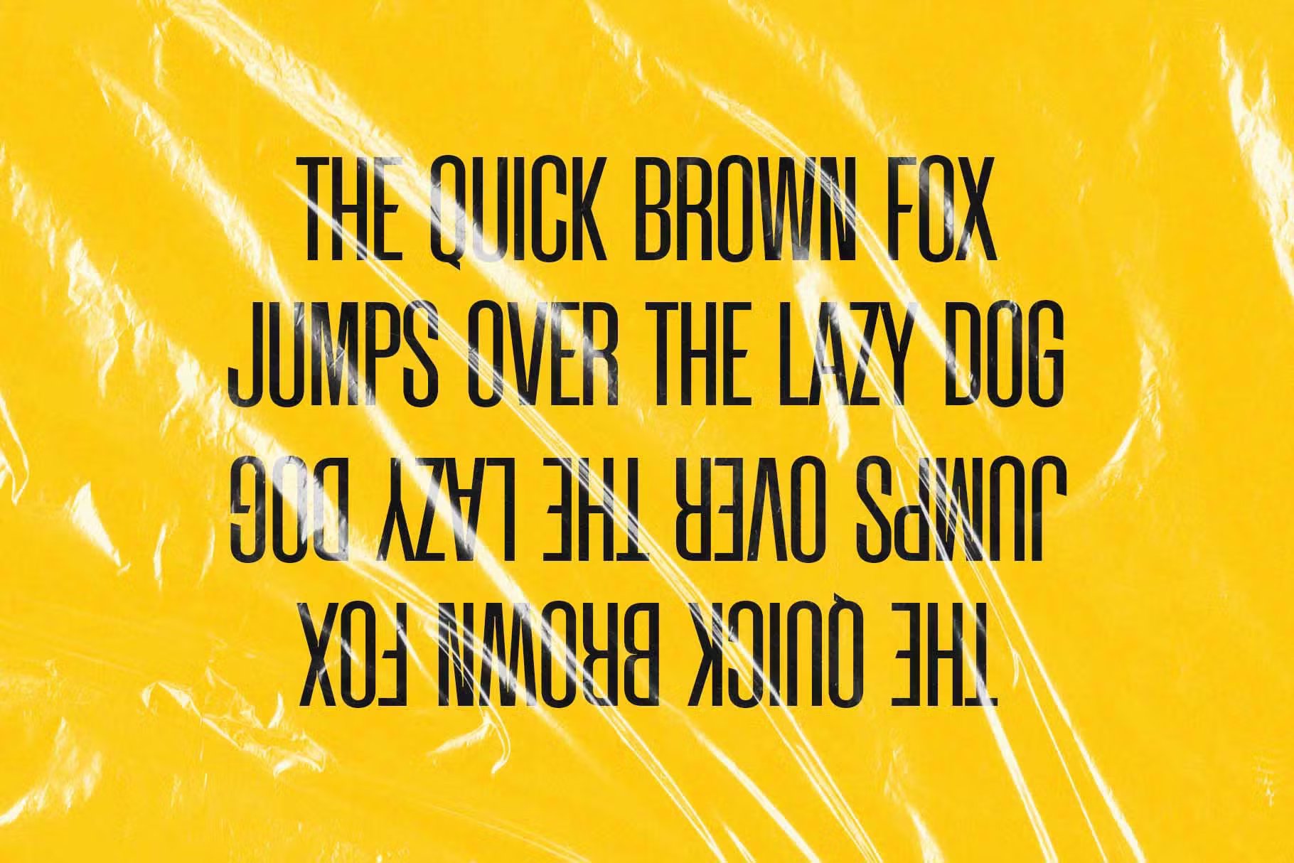 品牌标题LOGO杂志产品包装和邀请函现代压缩简单无衬线字体 Wondera – Modern Condensed Sans 设计素材 sucaiwan.com