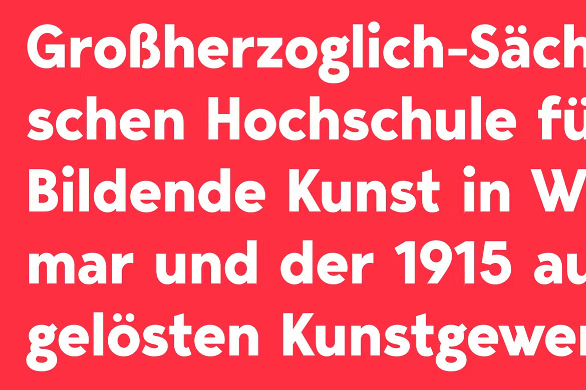 Bergen Text 6种完美可读性体验扩展拉丁语、西里尔语无衬线字体 设计素材 sucaiwan.com