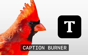 FCPX插件:常用字幕文件导入刻录插件 Caption Burner 可导入SRT等字幕文件