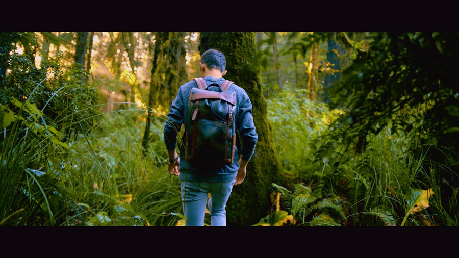 柯达/富士电影胶片色彩科学升级和仿真LUT包专业品质 LightWave Film LUT Master Pack 3.0 插件预设 第7张-素材湾丨精选海外优质设计素材资源 柯达/富士电影胶片色彩科学升级和仿真LUT包专业品质 LightWave Film LUT Master Pack 3.0 插件预设 sucaiwan.com