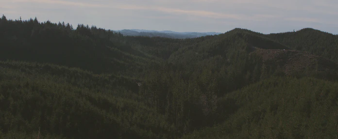 Tropic Colour – Nature Looks 10个自然风光纪录片后期调色LUT Davinci / PR / FCPX 插件预设 sucaiwan.com