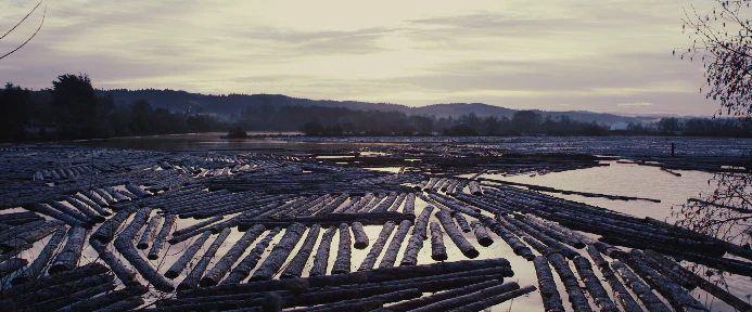 Tropic Colour – Nature Looks 10个自然风光纪录片后期调色LUT Davinci / PR / FCPX 插件预设 sucaiwan.com