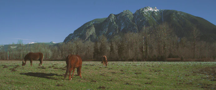 Tropic Colour – Nature Looks 10个自然风光纪录片后期调色LUT Davinci / PR / FCPX 插件预设 sucaiwan.com