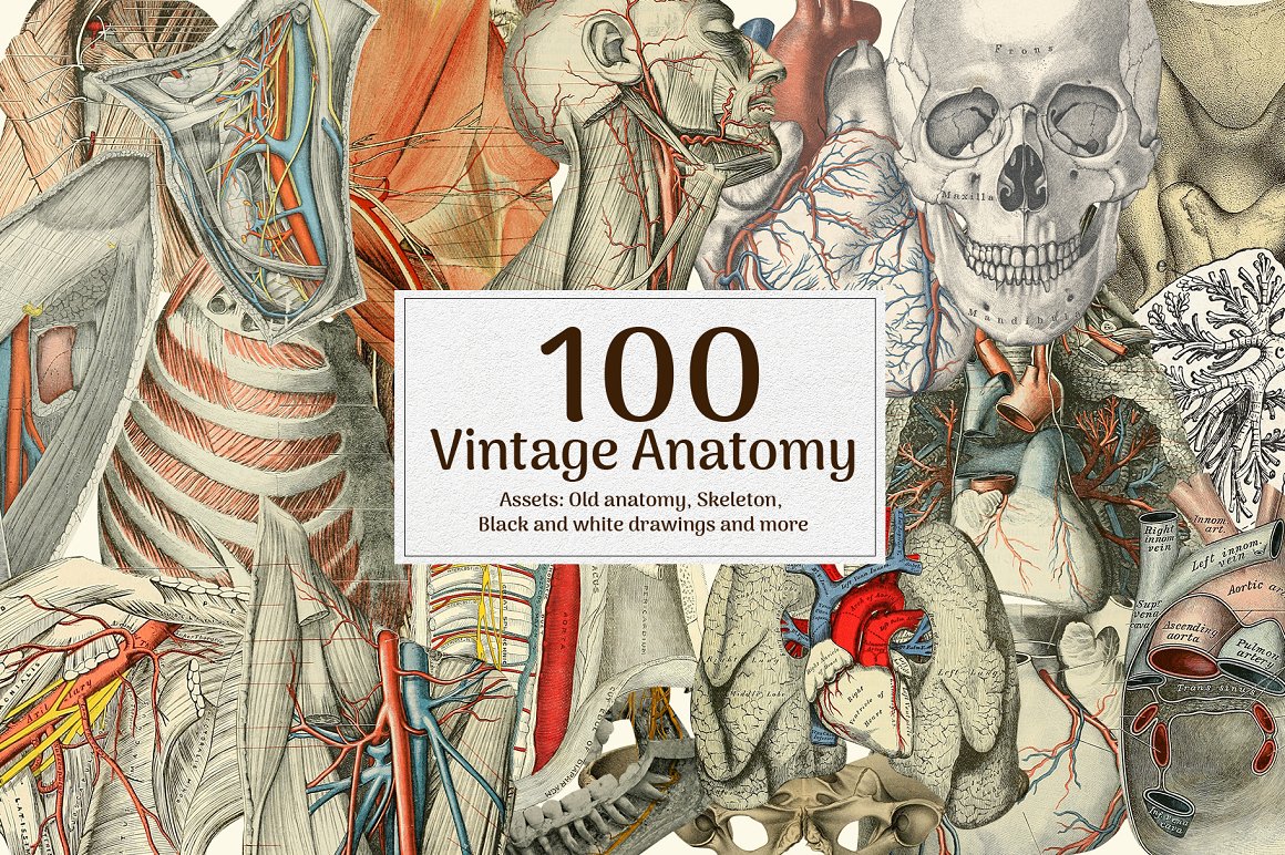 1540个复古手工裁剪元素拼贴艺术动物植物抽象头骨行星字符雕塑设计元素包 Modern Eighties Collage Creator 图片素材 sucaiwan.com