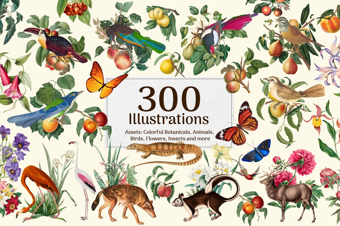 1540个复古手工裁剪元素拼贴艺术动物植物抽象头骨行星字符雕塑设计元素包 Modern Eighties Collage Creator 图片素材 sucaiwan.com