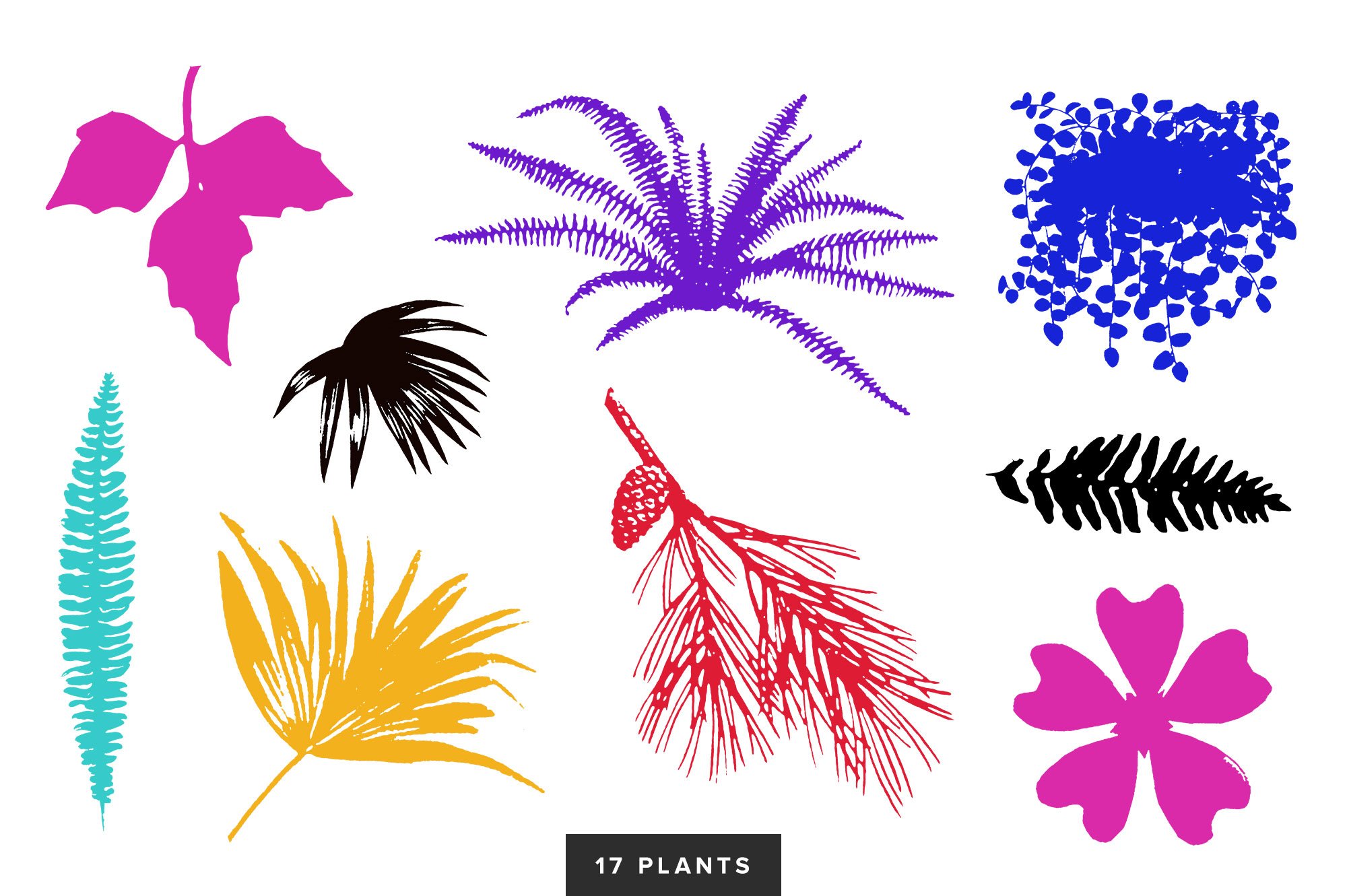 Creative Collage Toolbox 大量创意拼贴元素和物体喷漆形状绘画纸张纹理 图片素材 sucaiwan.com