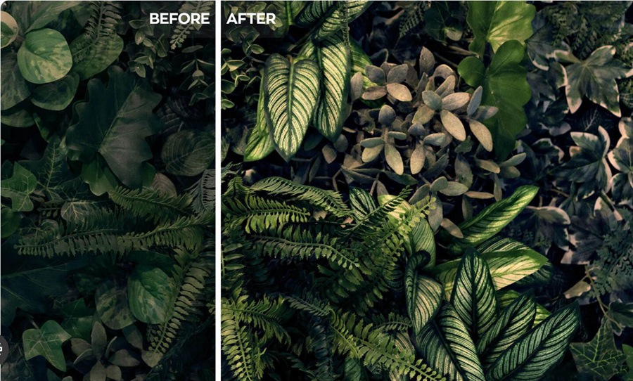 软件-AI智能完美照片处理调色插件 Radiant Photo v1.3.0.398 中文版 支持PS2024 插件预设 sucaiwan.com