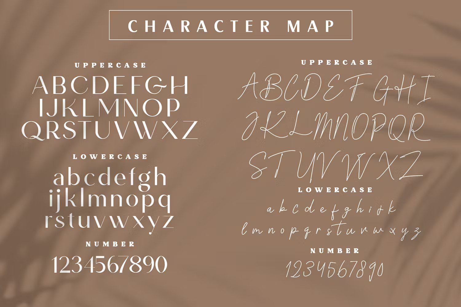 时尚自然独特品牌包装海报设计无衬线和手写双字体 Scientific Graphics 设计素材 sucaiwan.com