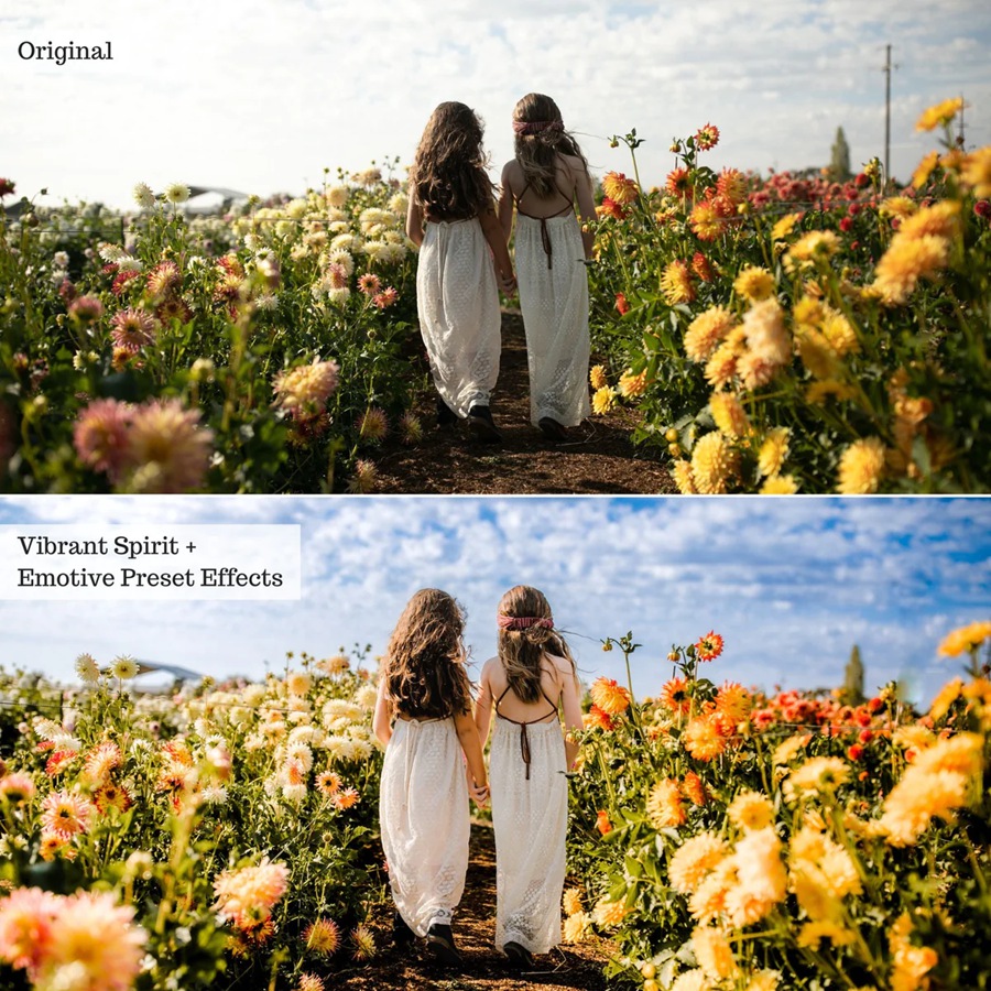 35个乡间田野农村自然风光婚礼人像摄影后期LR预设套装 Emotive Lightroom Presets & AI Powered Tools 插件预设 sucaiwan.com