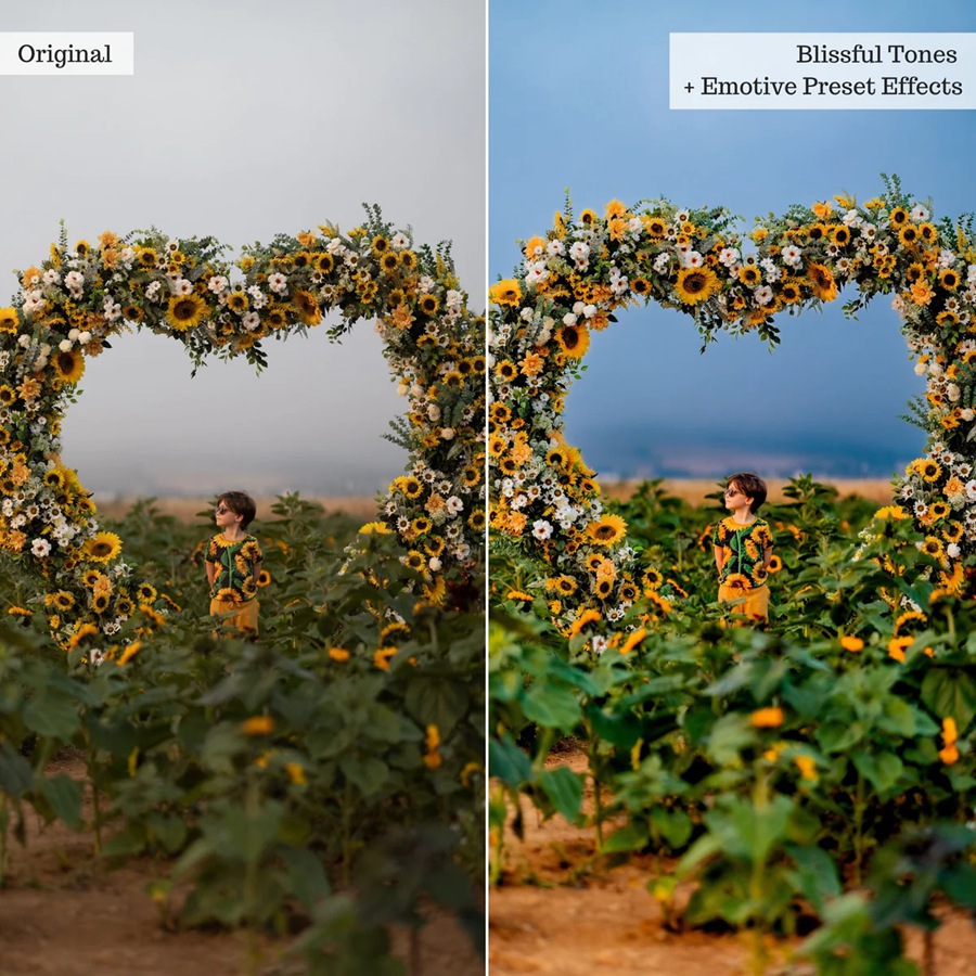 35个乡间田野农村自然风光婚礼人像摄影后期LR预设套装 Emotive Lightroom Presets & AI Powered Tools 插件预设 sucaiwan.com