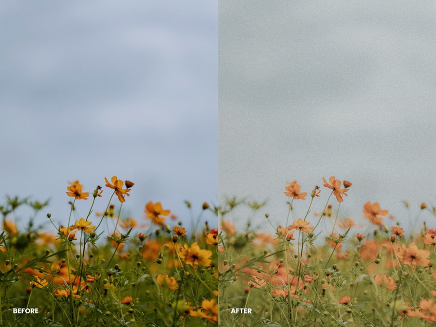 10个复古胶片博主网红人像LR预设 Vintage Film Lightroom Presets 插件预设 sucaiwan.com