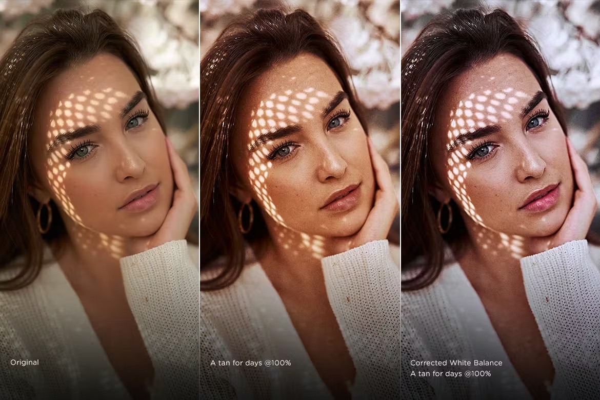 飞思预设-质感肤色Capture One样式 A Tan For Days-Capture One Color Grading Style 插件预设 sucaiwan.com