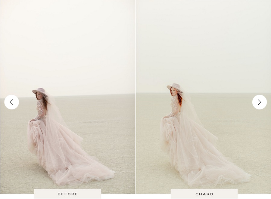 LR/PS预设-婚礼摄影跟拍婚纱胶片Lightroom调色预设 Noble Presets – Noble X Chard 插件预设 第7张-素材湾丨精选海外优质设计素材资源 LR/PS预设-婚礼摄影跟拍婚纱胶片Lightroom调色预设 Noble Presets – Noble X Chard 插件预设 sucaiwan.com