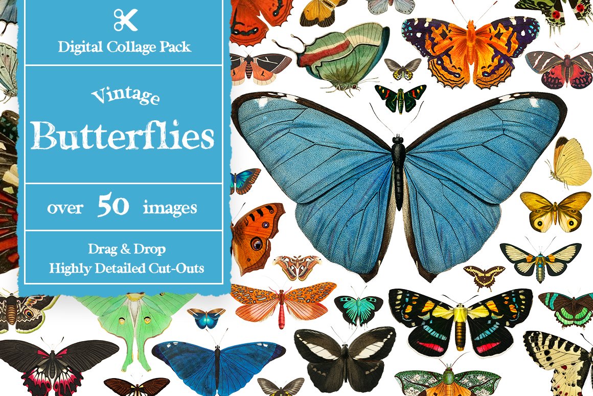 1100个复古拼贴艺术动植物海洋生物杂志拼贴剪纸插图创作者PNG元素包 Collage Supply Co 图片素材 第3张-素材湾丨精选海外优质设计素材资源 1100个复古拼贴艺术动植物海洋生物杂志拼贴剪纸插图创作者PNG元素包 Collage Supply Co 图片素材 sucaiwan.com