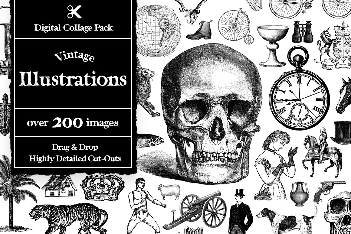 1100个复古拼贴艺术动植物海洋生物杂志拼贴剪纸插图创作者PNG元素包 Collage Supply Co 图片素材 第7张-素材湾丨精选海外优质设计素材资源 1100个复古拼贴艺术动植物海洋生物杂志拼贴剪纸插图创作者PNG元素包 Collage Supply Co 图片素材 sucaiwan.com