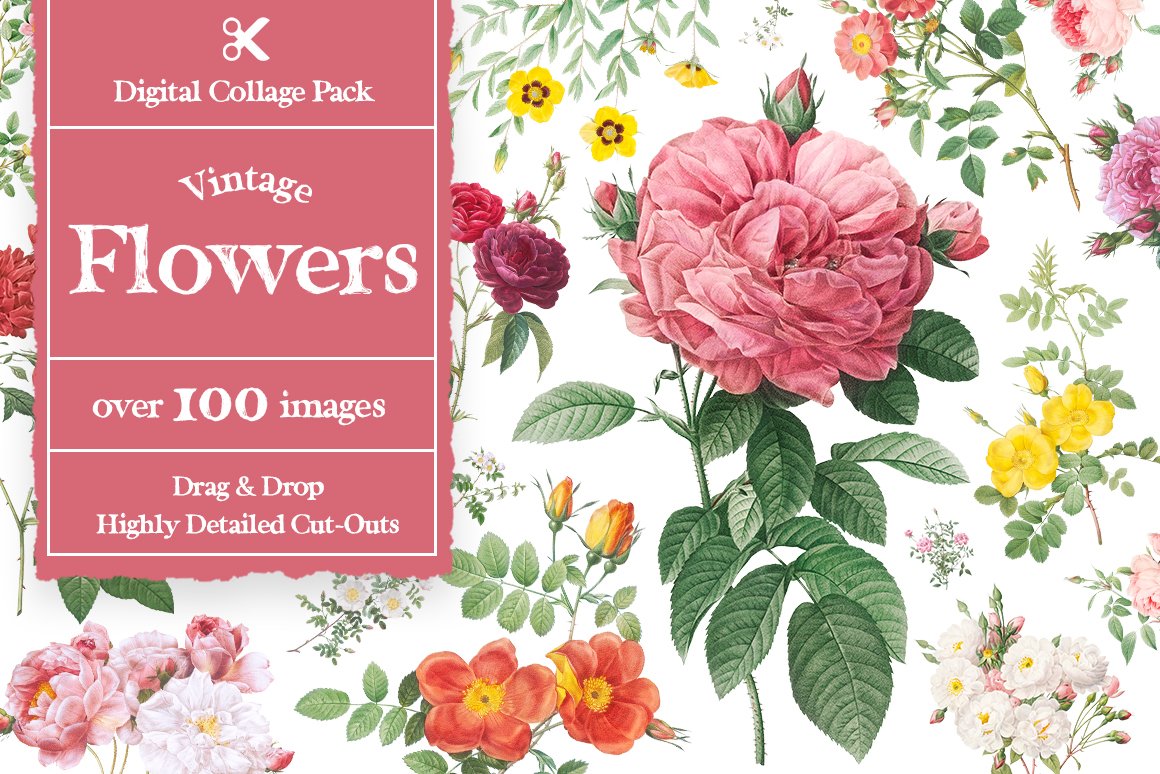 1100个复古拼贴艺术动植物海洋生物杂志拼贴剪纸插图创作者PNG元素包 Collage Supply Co 图片素材 第12张-素材湾丨精选海外优质设计素材资源 1100个复古拼贴艺术动植物海洋生物杂志拼贴剪纸插图创作者PNG元素包 Collage Supply Co 图片素材 sucaiwan.com