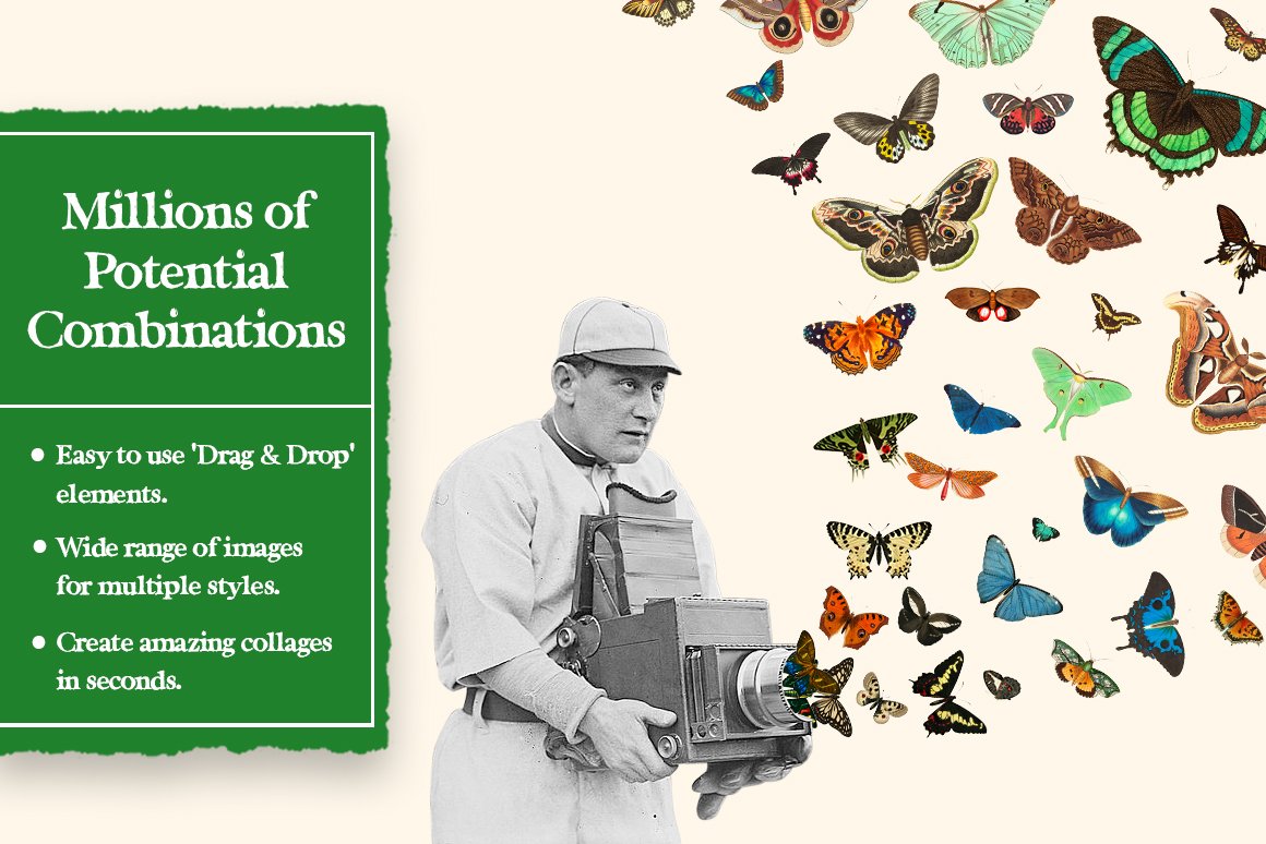 1100个复古拼贴艺术动植物海洋生物杂志拼贴剪纸插图创作者PNG元素包 Collage Supply Co 图片素材 第14张-素材湾丨精选海外优质设计素材资源 1100个复古拼贴艺术动植物海洋生物杂志拼贴剪纸插图创作者PNG元素包 Collage Supply Co 图片素材 sucaiwan.com