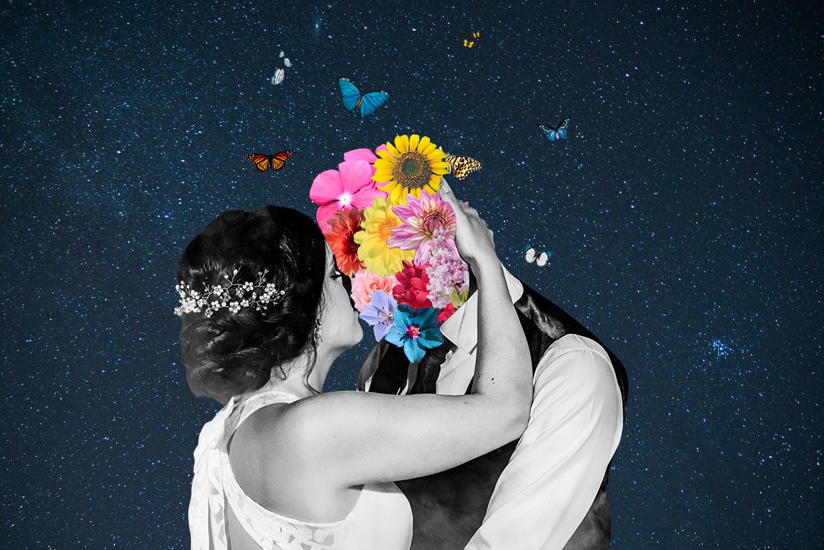 Collage Supply Co 1000个高分辨率欧美拼贴艺术现代生活动植物创建者PNG元素包 Ultimate Collage Creator 1000 图片素材 sucaiwan.com