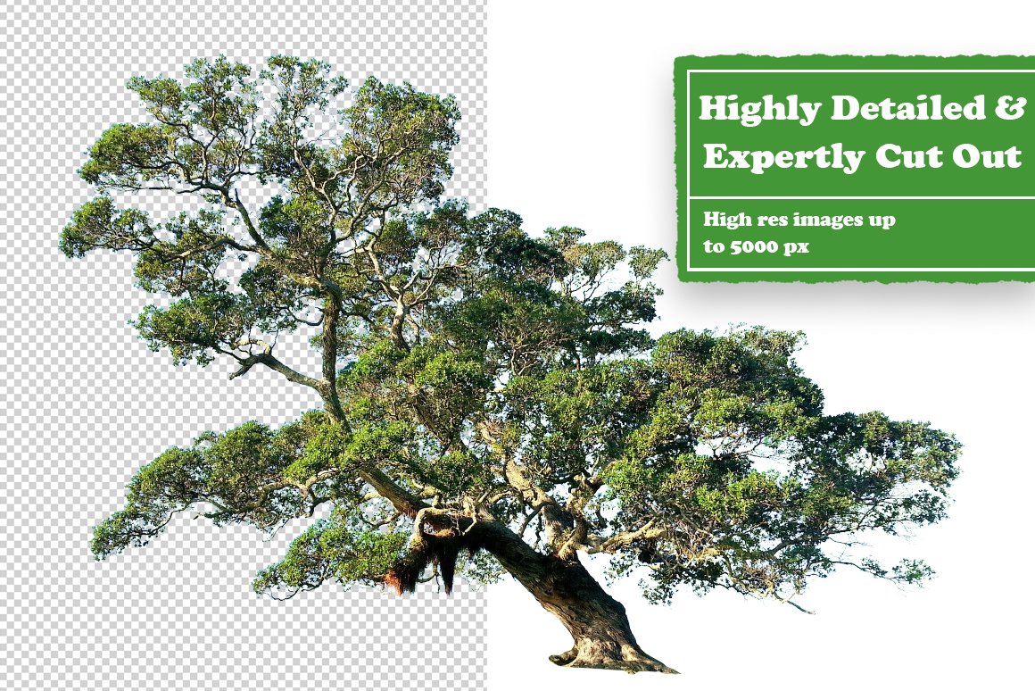 Collage Supply Co 1000个高分辨率欧美拼贴艺术现代生活动植物创建者PNG元素包 Ultimate Collage Creator 1000 图片素材 sucaiwan.com