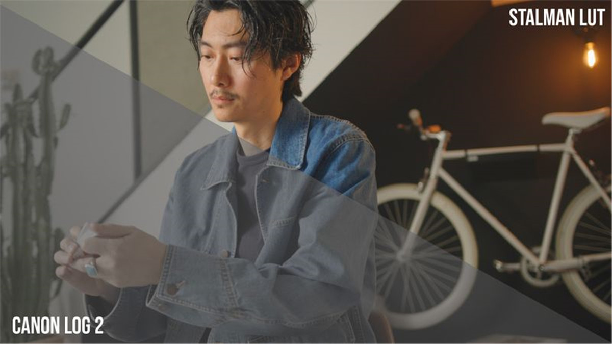 油管大神Stalman佳能色彩还原电影感LUT调色预设调色 Canon LUTs , sucaiwan.com
