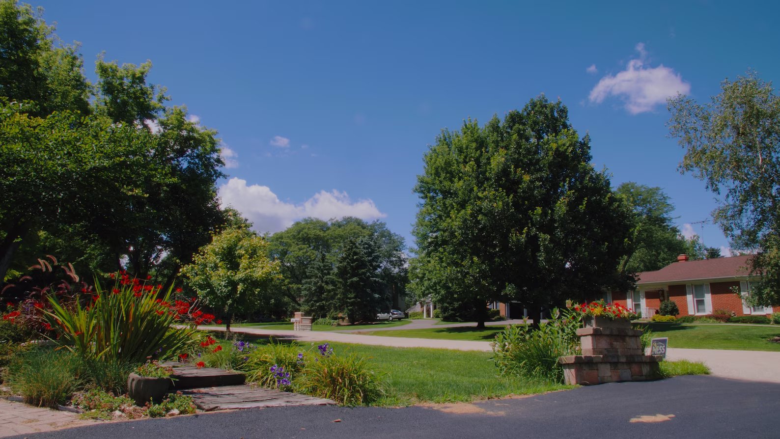 Technicolor LUT Pack for Black Magic Pocket Cinema 6K/6k Pro 插件预设 第2张-素材湾丨精选海外优质设计素材资源 Technicolor LUT Pack for Black Magic Pocket Cinema 6K/6k Pro 插件预设 sucaiwan.com