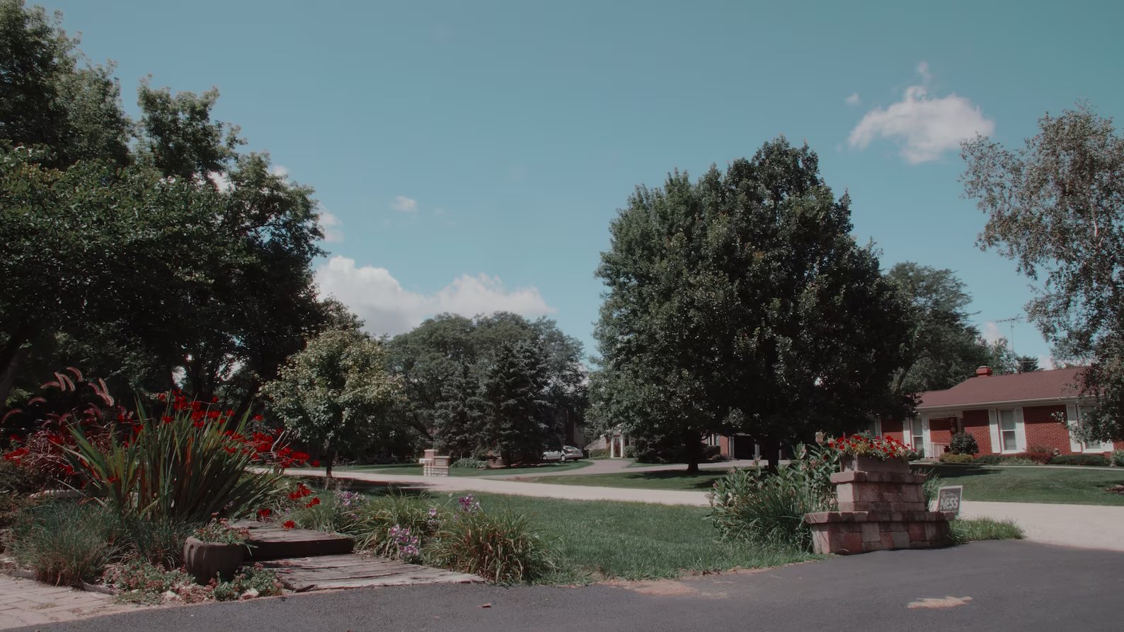 Technicolor LUT Pack for Black Magic Pocket Cinema 6K/6k Pro 插件预设 第4张-素材湾丨精选海外优质设计素材资源 Technicolor LUT Pack for Black Magic Pocket Cinema 6K/6k Pro 插件预设 sucaiwan.com