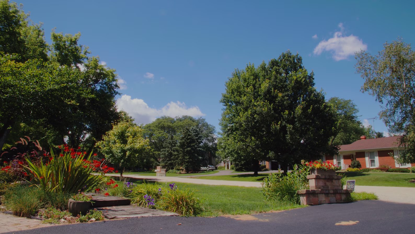 Technicolor LUT Pack for Black Magic Pocket Cinema 6K/6k Pro 插件预设 第3张-素材湾丨精选海外优质设计素材资源 Technicolor LUT Pack for Black Magic Pocket Cinema 6K/6k Pro 插件预设 sucaiwan.com