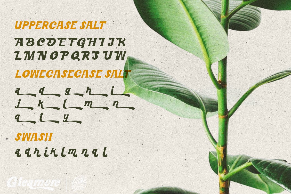 Gleamore Display Font 广告、产品包装、产品设计、标签、摄影无衬线字体 设计素材 sucaiwan.com