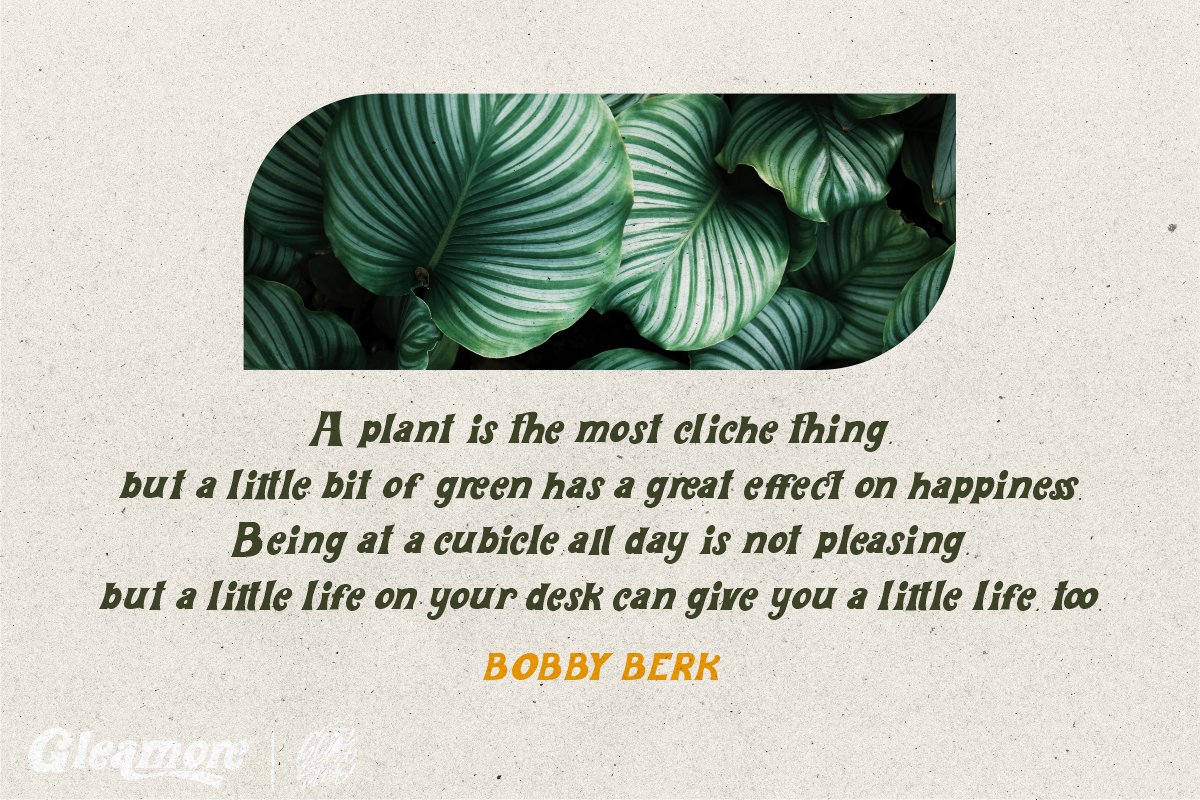 Gleamore Display Font 广告、产品包装、产品设计、标签、摄影无衬线字体 设计素材 sucaiwan.com