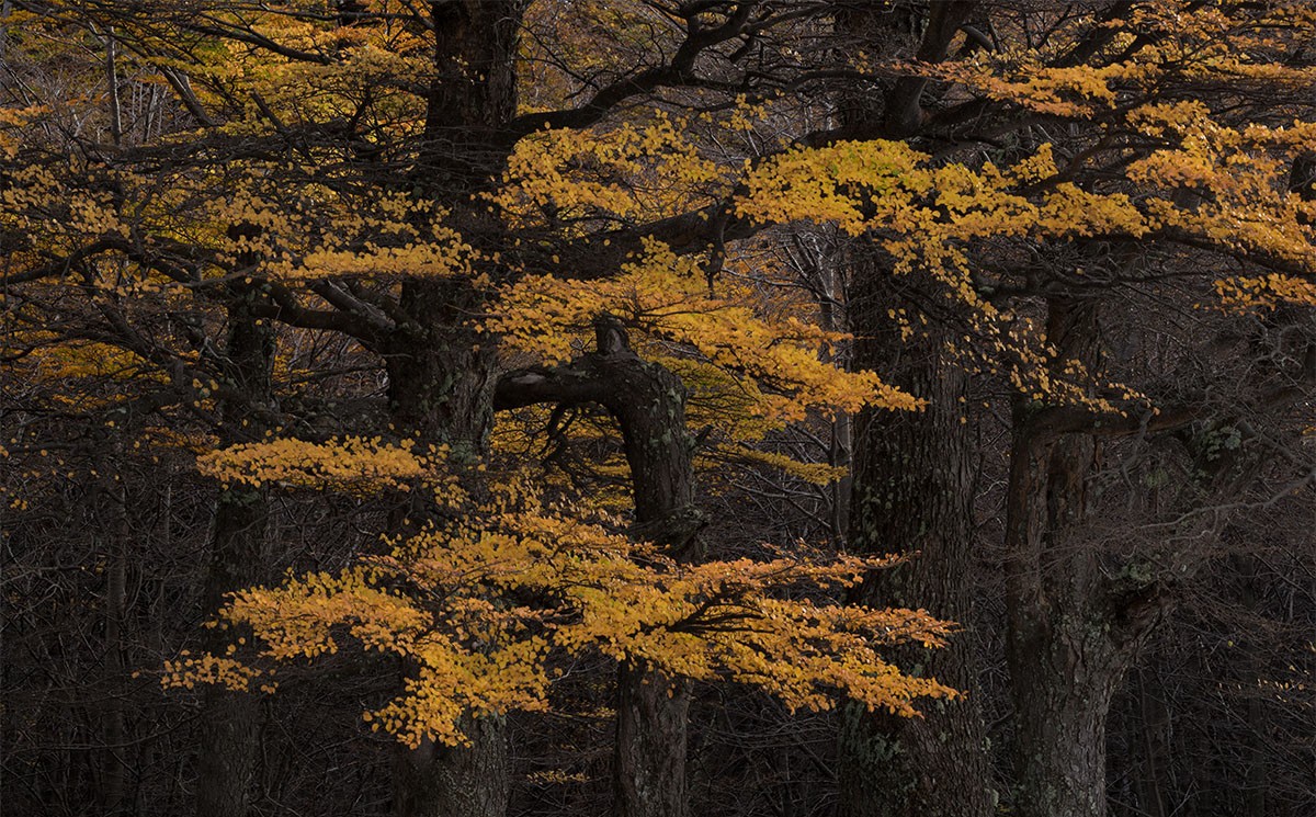 修图教程-摄影师Eric Bennett风光风景后期“亮度”增强柔和光线4案例附素材 设计教程 第4张-素材湾丨精选海外优质设计素材资源 修图教程-摄影师Eric Bennett风光风景后期“亮度”增强柔和光线4案例附素材 设计教程 sucaiwan.com