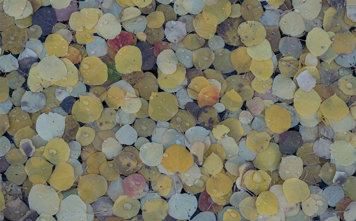 修图教程-摄影师Eric Bennett风光风景后期“亮度”增强柔和光线4案例附素材 设计教程 第6张-素材湾丨精选海外优质设计素材资源 修图教程-摄影师Eric Bennett风光风景后期“亮度”增强柔和光线4案例附素材 设计教程 sucaiwan.com