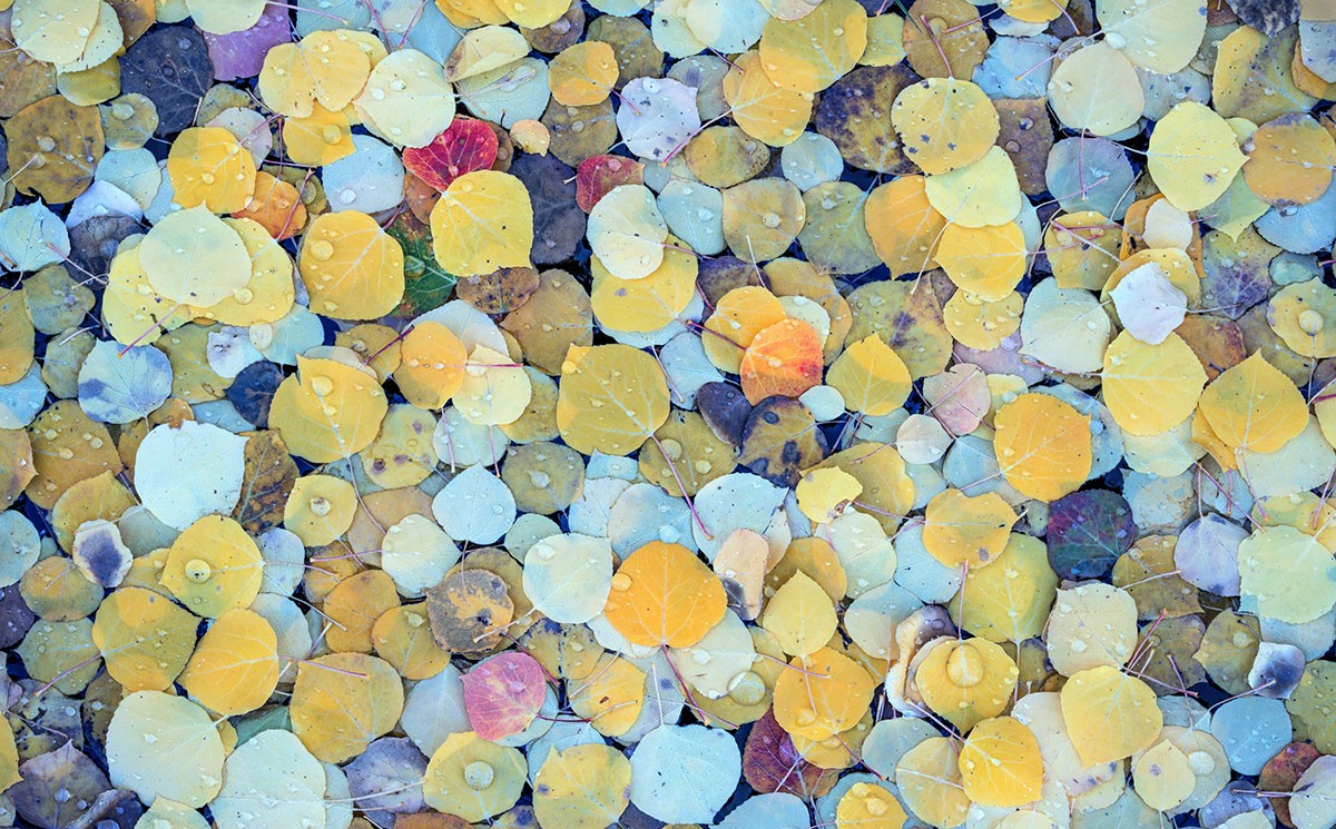 修图教程-摄影师Eric Bennett风光风景后期“亮度”增强柔和光线4案例附素材 设计教程 第7张-素材湾丨精选海外优质设计素材资源 修图教程-摄影师Eric Bennett风光风景后期“亮度”增强柔和光线4案例附素材 设计教程 sucaiwan.com