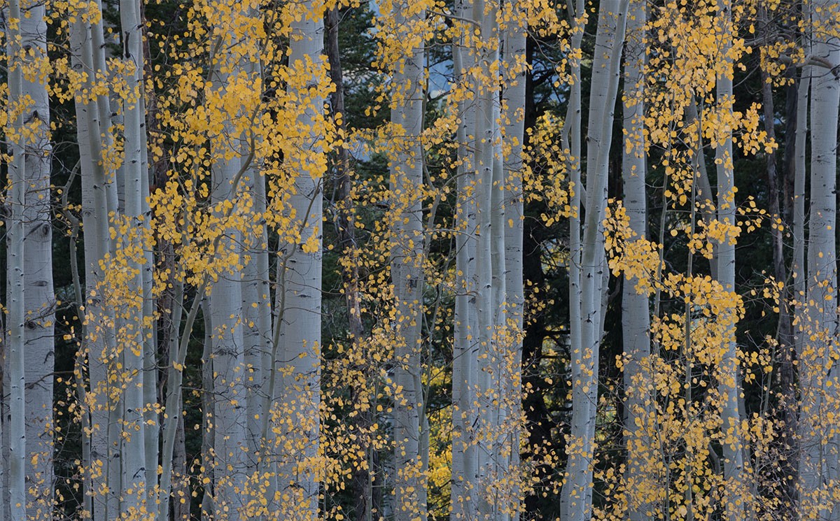 修图教程-摄影师Eric Bennett风光风景后期“亮度”增强柔和光线4案例附素材 设计教程 第8张-素材湾丨精选海外优质设计素材资源 修图教程-摄影师Eric Bennett风光风景后期“亮度”增强柔和光线4案例附素材 设计教程 sucaiwan.com