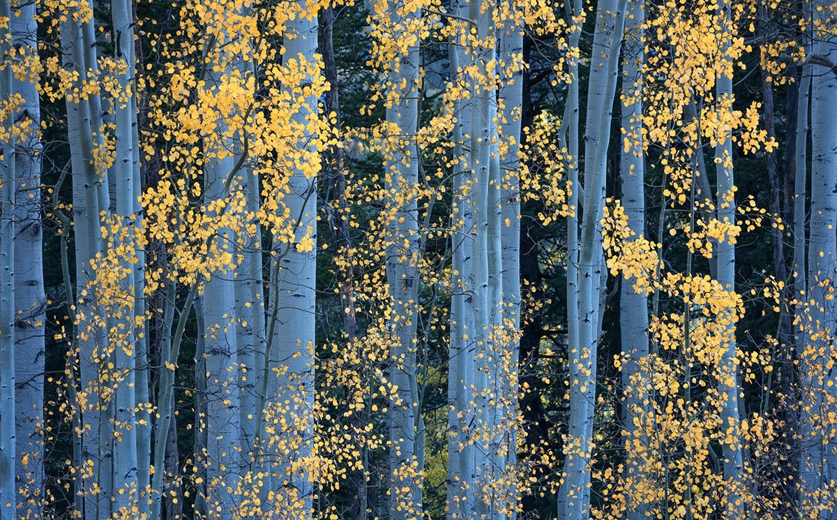 修图教程-摄影师Eric Bennett风光风景后期“亮度”增强柔和光线4案例附素材 设计教程 第9张-素材湾丨精选海外优质设计素材资源 修图教程-摄影师Eric Bennett风光风景后期“亮度”增强柔和光线4案例附素材 设计教程 sucaiwan.com