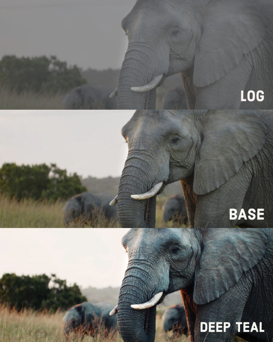 36个索尼/佳能/Gopro创意电影感风格化调色预设LUT Gastón Luna – GL Signature LUT 插件预设 第5张-素材湾丨精选海外优质设计素材资源 36个索尼/佳能/Gopro创意电影感风格化调色预设LUT Gastón Luna – GL Signature LUT 插件预设 sucaiwan.com