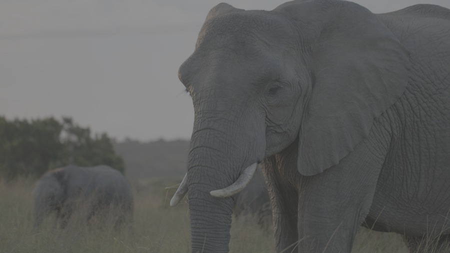 36个索尼/佳能/Gopro创意电影感风格化调色预设LUT Gastón Luna – GL Signature LUT 插件预设 第13张-素材湾丨精选海外优质设计素材资源 36个索尼/佳能/Gopro创意电影感风格化调色预设LUT Gastón Luna – GL Signature LUT 插件预设 sucaiwan.com