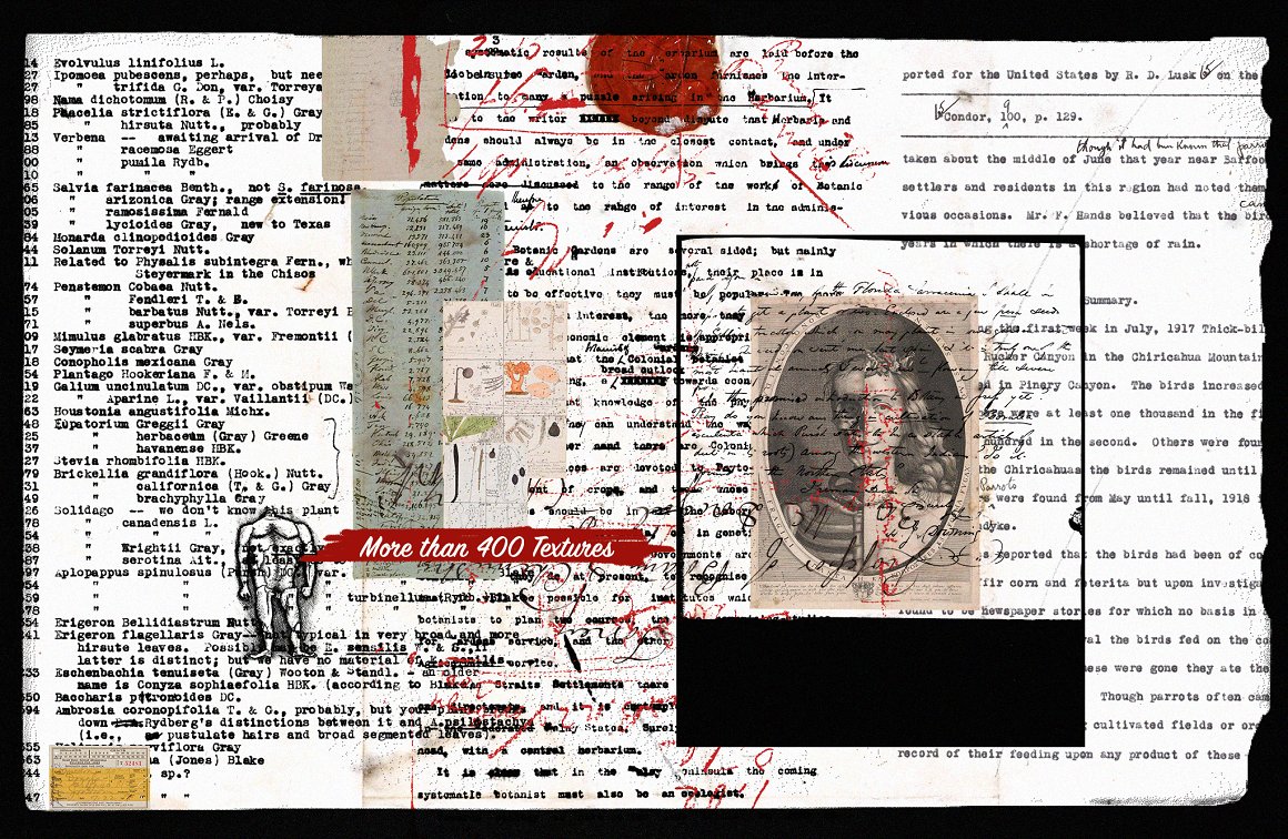 Lilithcollageart 400多个趣味涂鸦纸张杂志剪纸草图手写稿纸扫描纹理PNG素材包 400+ Textures, Scribbles and more 图片素材 sucaiwan.com