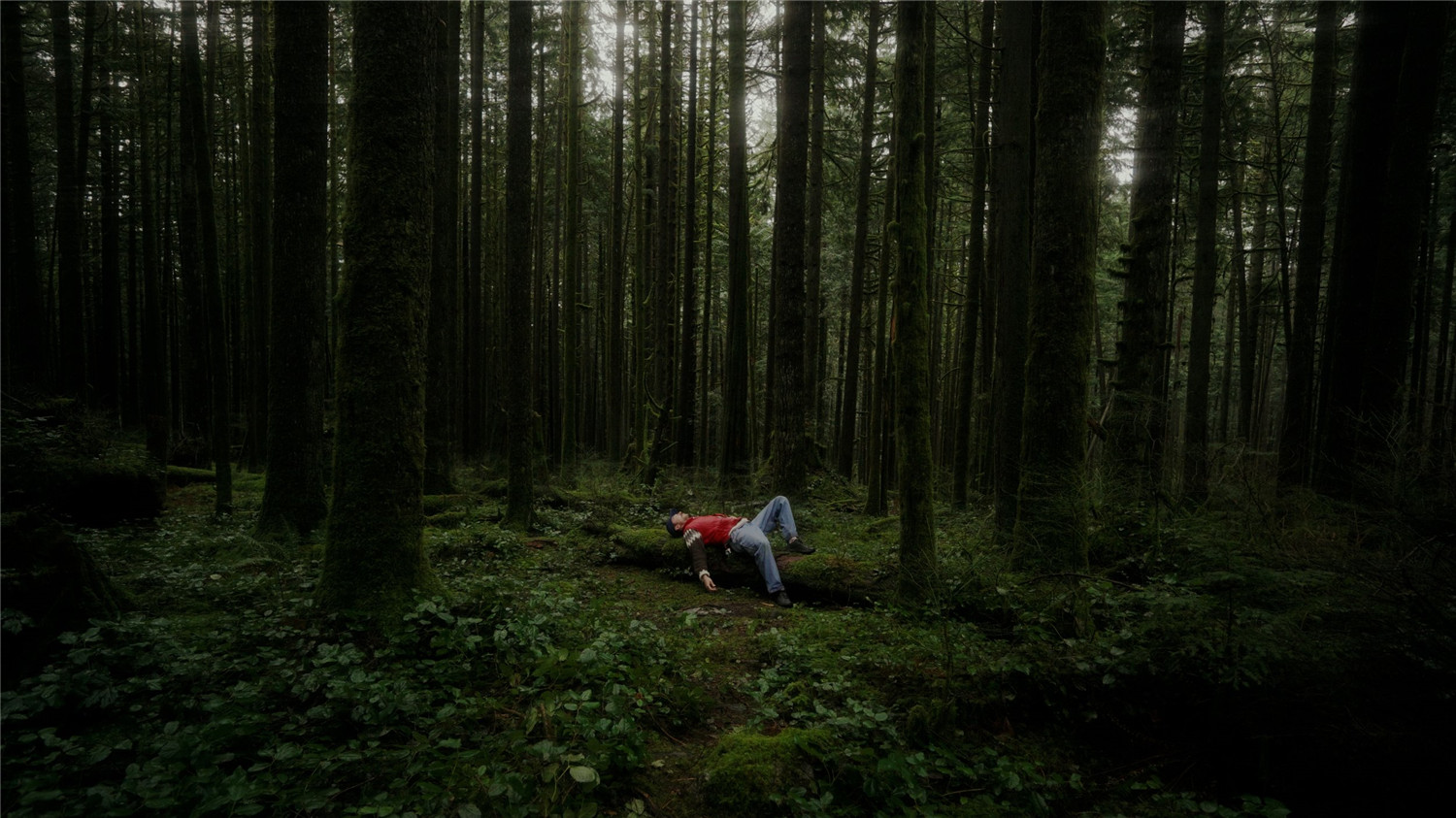 户外VLOG氛围感柯达胶片色彩模拟电影调色LUT预设 Justin Monarch – The Monarch LUT 插件预设 第4张-素材湾丨精选海外优质设计素材资源 户外VLOG氛围感柯达胶片色彩模拟电影调色LUT预设 Justin Monarch – The Monarch LUT 插件预设 sucaiwan.com