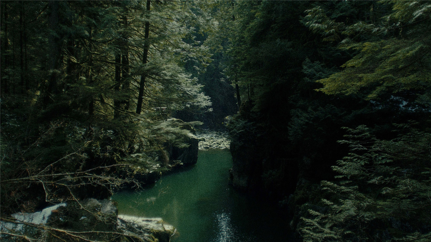 户外VLOG氛围感柯达胶片色彩模拟电影调色LUT预设 Justin Monarch – The Monarch LUT 插件预设 第7张-素材湾丨精选海外优质设计素材资源 户外VLOG氛围感柯达胶片色彩模拟电影调色LUT预设 Justin Monarch – The Monarch LUT 插件预设 sucaiwan.com