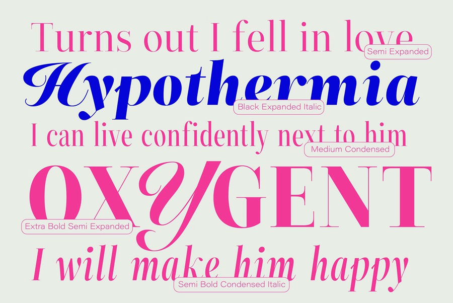 90个时装杂志平面影视时尚艺术海报设计衬线字体 ZT Neue Ralewe – 90 Styles 设计素材 第9张-素材湾丨精选海外优质设计素材资源 90个时装杂志平面影视时尚艺术海报设计衬线字体 ZT Neue Ralewe – 90 Styles 设计素材 sucaiwan.com